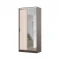 Шкаф-купе Альянс с зеркалом 1М венге дуб белфорт